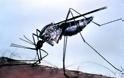 Σε επιφυλακή για νέα κρούσματα ελονοσίας - Οι περιοχές κινδύνου