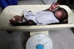 ΔΕΙΤΕ: Νάζι από… κούνια