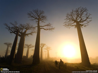 Όμορφες εικόνες από το National Geographic - Φωτογραφία 7