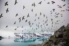 Όμορφες εικόνες από το National Geographic