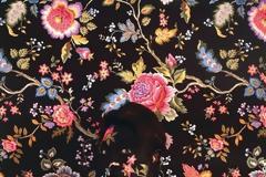 ΔΕΙΤΕ: Η αόρατη γυναίκα...