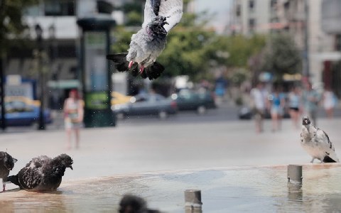 Στο κόκκινο και σήμερα ο υδράργυρος - Φωτογραφία 4