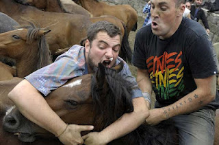 Άλογα vs Ανθρώπων: Ένας παράξενος αγώνας πάλης! - Φωτογραφία 1