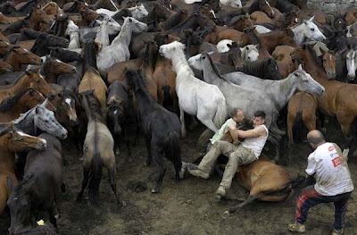 Άλογα vs Ανθρώπων: Ένας παράξενος αγώνας πάλης! - Φωτογραφία 2