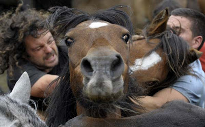Άλογα vs Ανθρώπων: Ένας παράξενος αγώνας πάλης! - Φωτογραφία 5