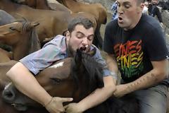 Άλογα vs Ανθρώπων: Ένας παράξενος αγώνας πάλης!