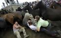 Άλογα vs Ανθρώπων: Ένας παράξενος αγώνας πάλης! - Φωτογραφία 3