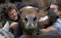 Άλογα vs Ανθρώπων: Ένας παράξενος αγώνας πάλης! - Φωτογραφία 5