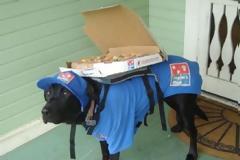 45 πράγματα που δεν θα δείτε ποτέ στην καθημερινή ζωή