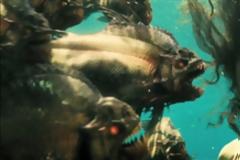 Εντυπωσιακά και θανάσιμα: Γνωρίστε τα 5 πιο επικίνδυνα είδη πιράνχα