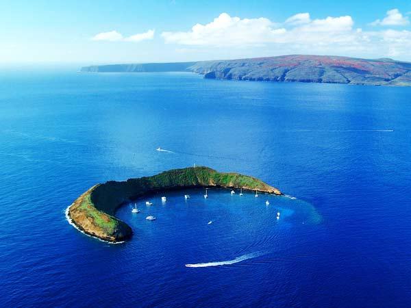 Καταδύσεις στο… μισοφέγγαρο του Molokini! - Φωτογραφία 2