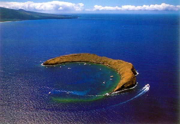 Καταδύσεις στο… μισοφέγγαρο του Molokini! - Φωτογραφία 3