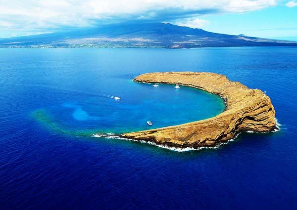 Καταδύσεις στο… μισοφέγγαρο του Molokini! - Φωτογραφία 5