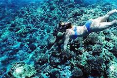 Καταδύσεις στο… μισοφέγγαρο του Molokini!