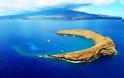 Καταδύσεις στο… μισοφέγγαρο του Molokini! - Φωτογραφία 5