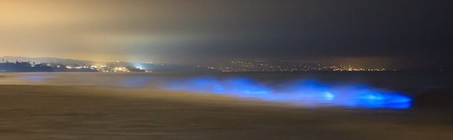 Φωτογραφίες από το απίστευτο φυσικό φαινόμενο των «φωτεινών» κυμάτων της Καλιφόρνια - Φωτογραφία 4