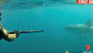 Καρχαρίας περικυκλώνει ψαράδες [Video] - Φωτογραφία 1