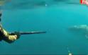 Καρχαρίας περικυκλώνει ψαράδες [Video]
