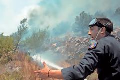 Ανοχύρωτα τα τα δάση στις πυρκαγιές