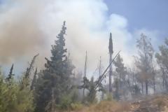 Καίγεται το Σέιχ Σου! [video]