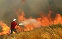 Πυρκαγιά σε δασική έκταση στην Κερατέα