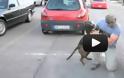 VIDEO: Σκύλος υποδέχεται τον ιδιοκτήτη του μετά από 8 μήνες