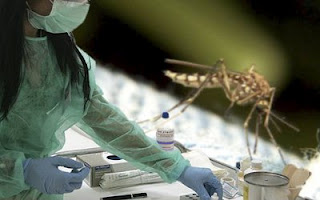 Κουνούπια: Οι 10 επικίνδυνοι ιοί που μεταδίδουν στον άνθρωπο. - Φωτογραφία 1