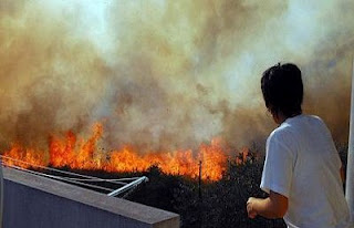 Στις φλόγες παραδόθηκαν πολλές εξοχικές κατοικίες στη Σαρδηνία - Φωτογραφία 1