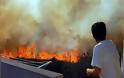 Στις φλόγες παραδόθηκαν πολλές εξοχικές κατοικίες στη Σαρδηνία