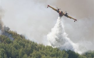 Πυρκαγιά στον Άγιο Κωνσταντίνο Κεφαλονιάς - Φωτογραφία 1