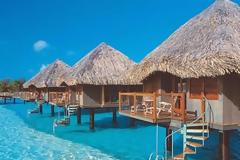 ΔΕΙΤΕ: Βουτιά στο...όνειρο