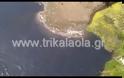 Τρίκαλα: Οικολογική καταστροφή στον Πηνειό με εκατοντάδες νεκρά ψάρια!