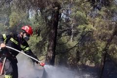 Βοριάδες και ζέστη απειλούν να βάλουν φωτιά στα δάση