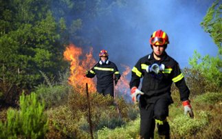 Δασική πυρκαγιά στο Κάτω Λουτρό Κορινθίας - Φωτογραφία 1