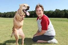 Το λαμπραντόρ που δίνει μάθημα... πίστης