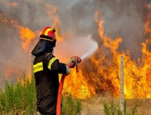 Σε εξέλιξη πυρκαγιά στο Πικέρμι - Φωτογραφία 1