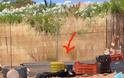 Κρήτη: Αγρότης κακοποιεί τα σκυλιά του - το ένα πέθανε από την δίψα δεμένο στον Ήλιο!!! (Να τον δέσουμε κι αυτόν στον Ήλιο να δούμε πόσο θα αντέξει...)