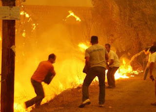 Μέτρα προστασίας για τις πυρκαγιές στην Ηλεία: Τέθηκαν μεν αλλά... - Φωτογραφία 1