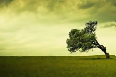 Κενή Διαθήκη