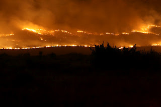 Σε εξέλιξη η πυρκαγιά στο Ζευγολατιό - Φωτογραφία 1