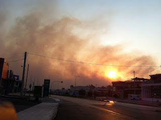 Μεγάλη πυρκαγιά απειλεί σπίτια - Ξεκίνησε από τα Αργυρά - Τρομακτικό το σύννεφο του καπνού καλύπτει την Πάτρα - Φωτογραφία 1