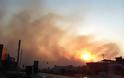 Μεγάλη πυρκαγιά απειλεί σπίτια - Ξεκίνησε από τα Αργυρά - Τρομακτικό το σύννεφο του καπνού καλύπτει την Πάτρα