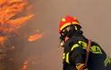 Έφυγε ο καύσωνας ήρθαν οι φωτιές στη Κρήτη. Στις φλόγες περίπου 400 στρέμματα δασικής και χορτολιβαδικής έκτασης