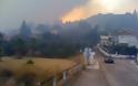 Ανεξέλεγκτη η πυρκαγιά στην Πάτρα [video]