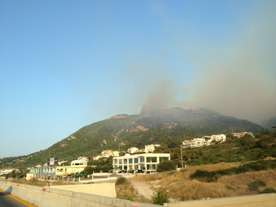 Φωτογραφίες αναγνώστη από την μεγάλη φωτιά που... - Φωτογραφία 9