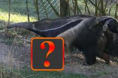 Μια απίστευτη οφθαλμαπάτη της φύσης