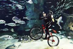 Ορθοπεταλιές στο… βυθό!