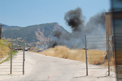 Φωτογραφίες από τη φωτιά σε Εγλυκάδα και Ρηγανόκαμπο - Φωτογραφία 2