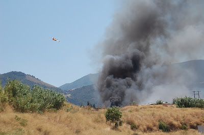 Φωτογραφίες από τη φωτιά σε Εγλυκάδα και Ρηγανόκαμπο - Φωτογραφία 4