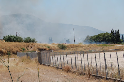 Φωτογραφίες από τη φωτιά σε Εγλυκάδα και Ρηγανόκαμπο - Φωτογραφία 5